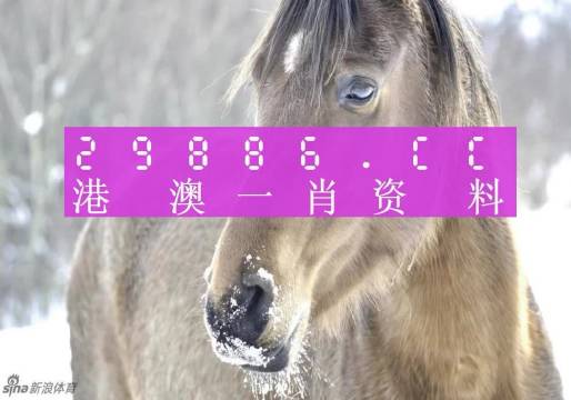 科学说明解析：澳门精准一肖一码100%_V78.78.78