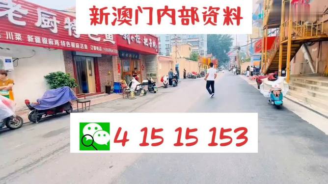 2024新澳免费资料澳门钱庄，高速响应方案设计_复古款46.87.44