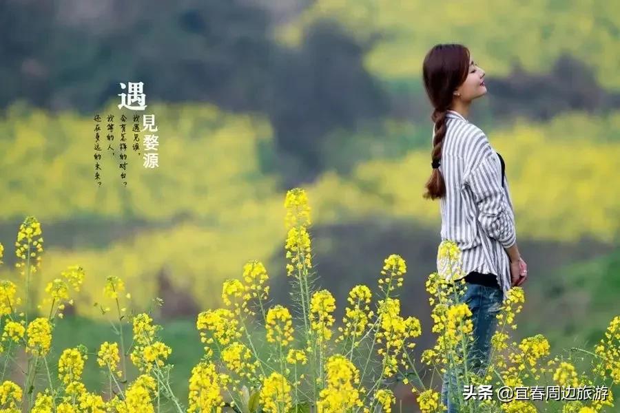 潘金莲，从文学角色到文化现象的全面解读