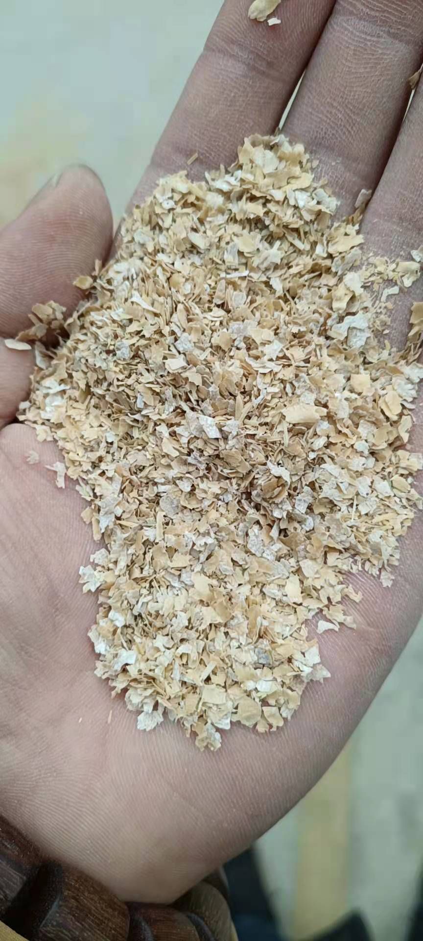 河南麸皮最新行情与心灵之旅，自然美景中的内心平静探寻