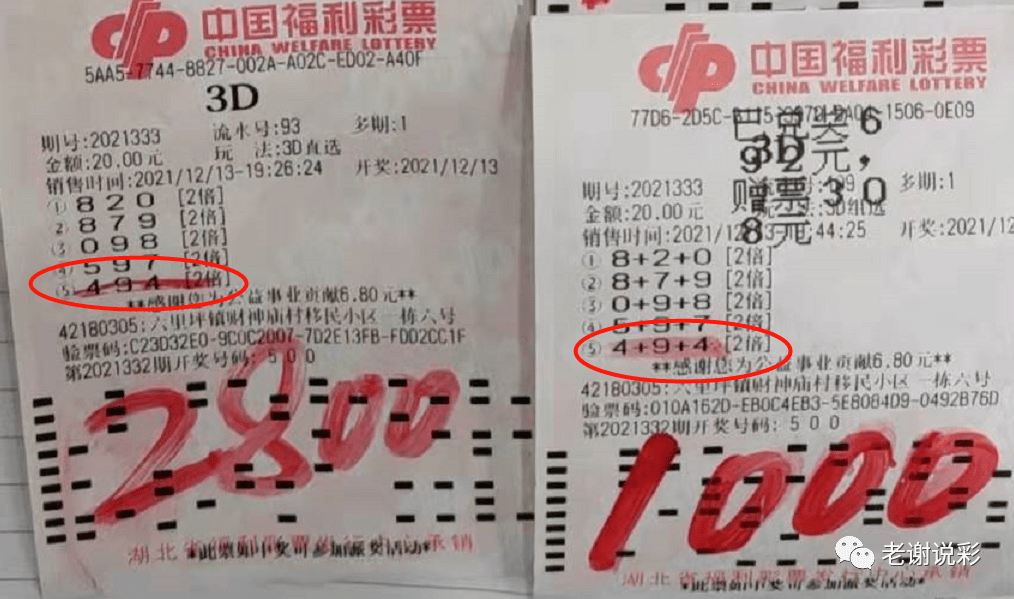 2024澳门天天彩期期精准，最新正品解答落实_VIP44.31.44