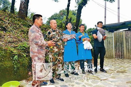 哀牢山发现全球仅千只珍稀鸟类，生态保护呼唤与希望之光探寻之旅