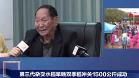 2024新澳门天天彩资料大全_非洲农民称袁隆平是我的老师,最新数据解释定义_豪华版79.33.87