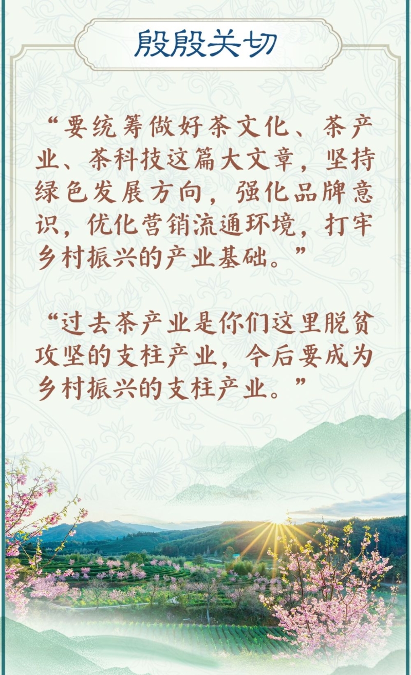 新澳门2024年免费资料大全_要统筹做好茶文化这篇大文章,实地评估策略数据_豪华款24.46.74