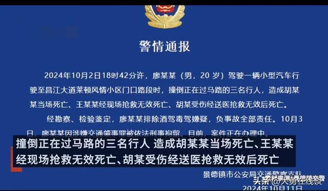 2024澳门精准正板资料_景德镇警方通报一家三口被撞身亡,快速解答计划解析_RemixOS44.12.12