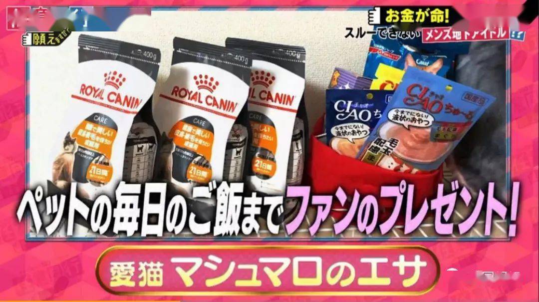 奶奶超值旅行体验，参团一日游获赠价值百元保温杯，惊喜连连获赞！