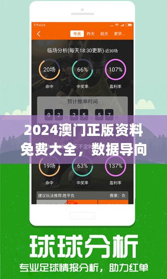 2024澳门精准正版,可靠执行计划策略_历史集59.445