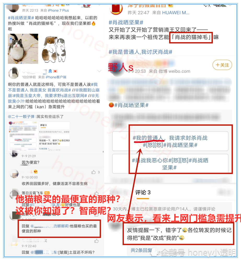 2024管家婆一码一肖资料,周密解答解释落实_FHD版89.321