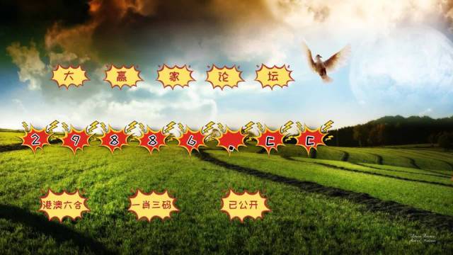 新澳门彩4949最新开奖记录,快速解答解释现象_ZY版54.866