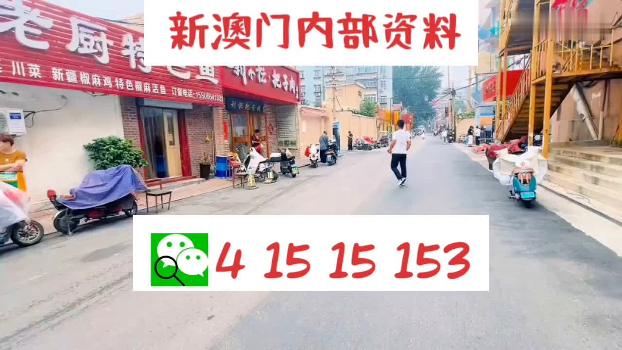 新澳门内部正版资料大全,全面理解解答解释措施_60.537