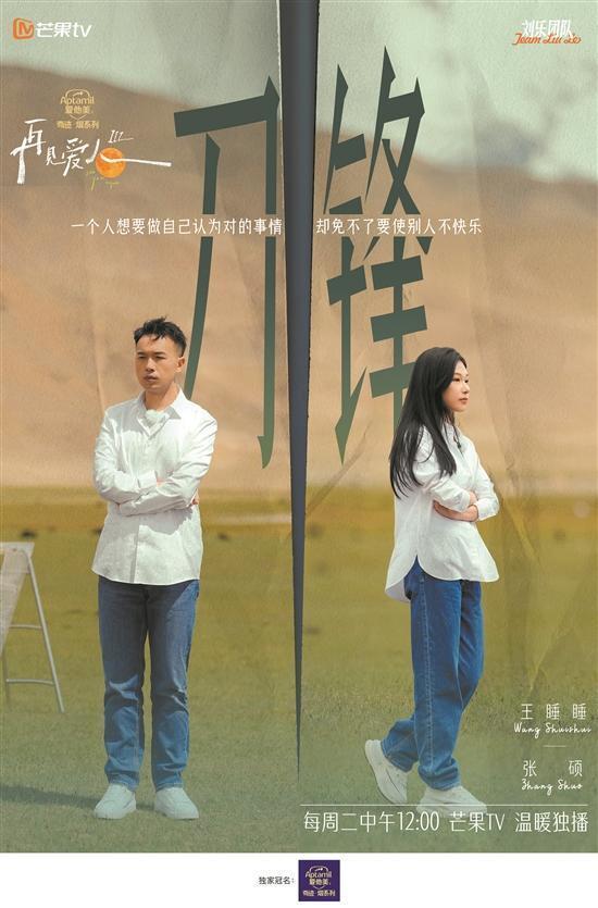 再见爱人4深度剖析，最应该离婚的一对情感裂痕剖析