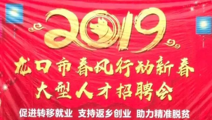 小巷里的职业宝藏