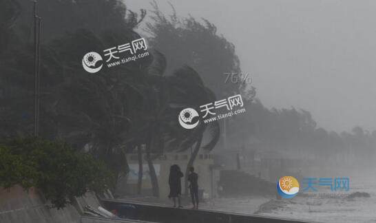 最新16台风消息与小巷深处的独特风味探索