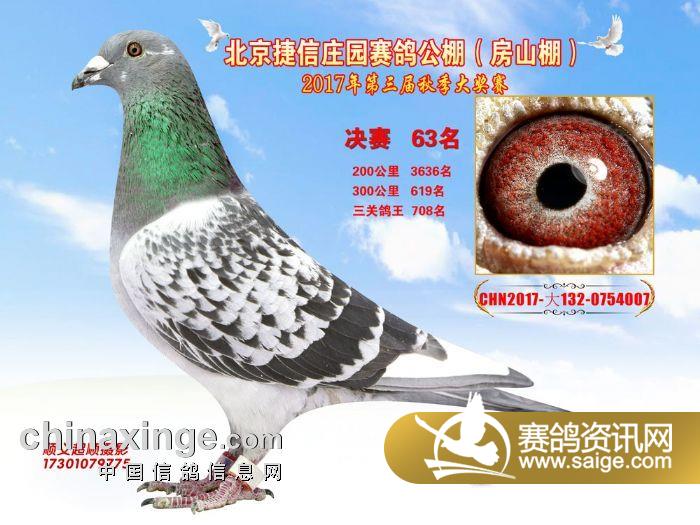 包头威业赛鸽公棚最新公告，小巷中的隐藏特色小店揭秘