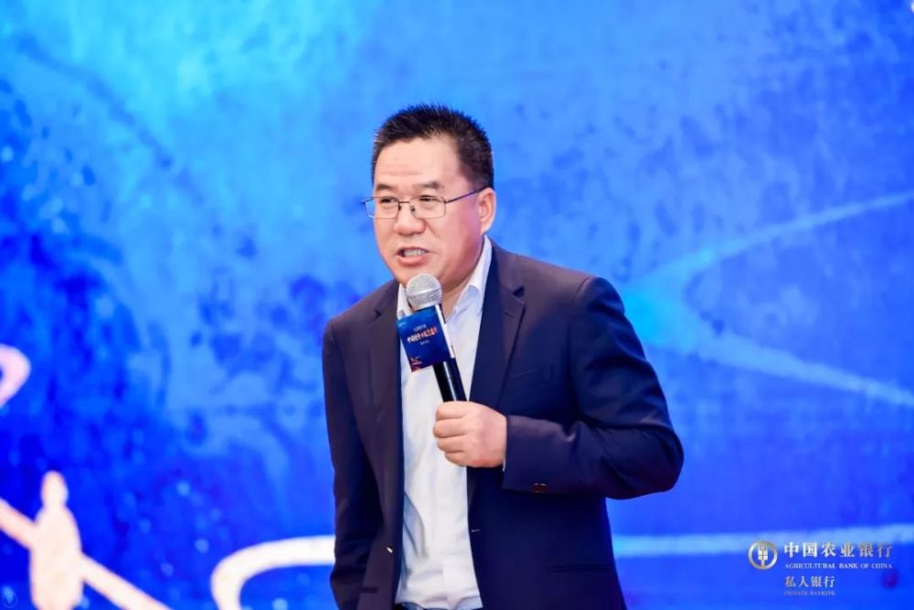 王鹏最新版，多维度视角下的深入分析与解读