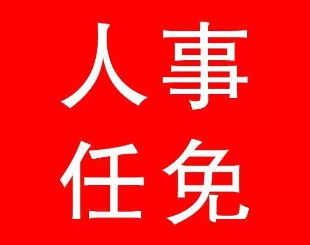 最新各省省委常委任免动态，人事变动及其影响分析