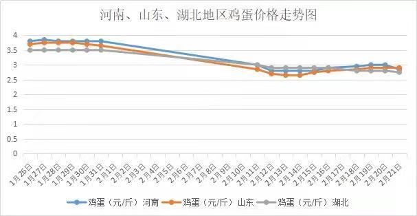 鸡蛋最新报价及市场走势分析与预测