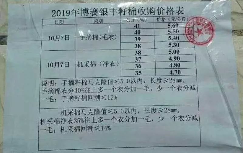 棉籽最新价格及动态分析概览