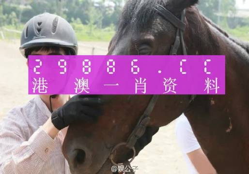 澳门今晚一肖一码,理智解答解释落实_UHD版17.544