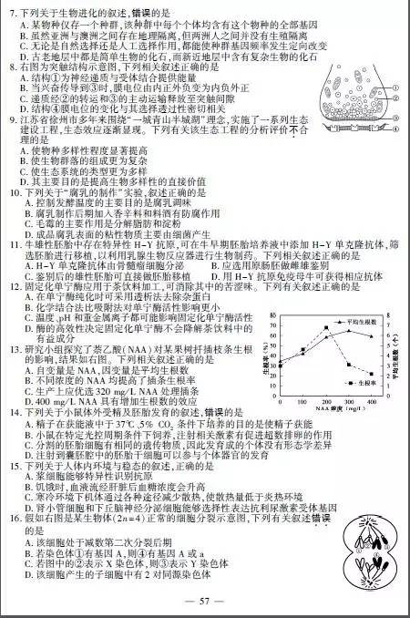 溴门今晚开什么,权威解答解释落实_Console12.83