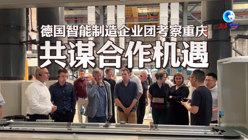 关于香港的资料大全,行业解答解释落实_Harmony31.381