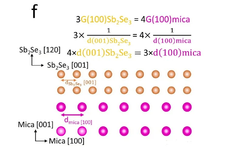 一码一肖100%,事件解答解释落实_WP版47.001