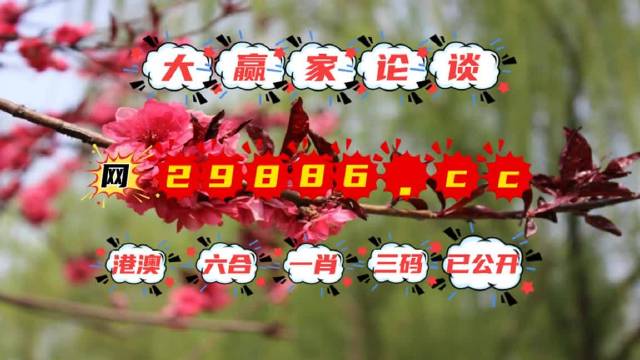 一肖一码澳门正版精准,顾问解答解释落实_FHD62.723