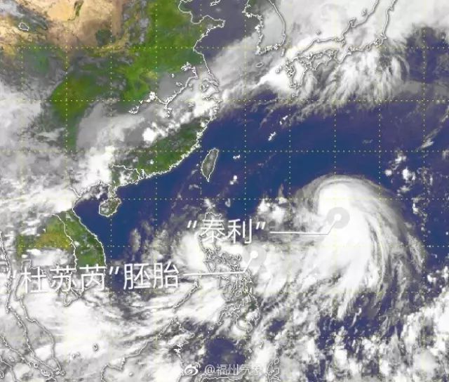 台风泰利最新动态，影响与应对措施全解析