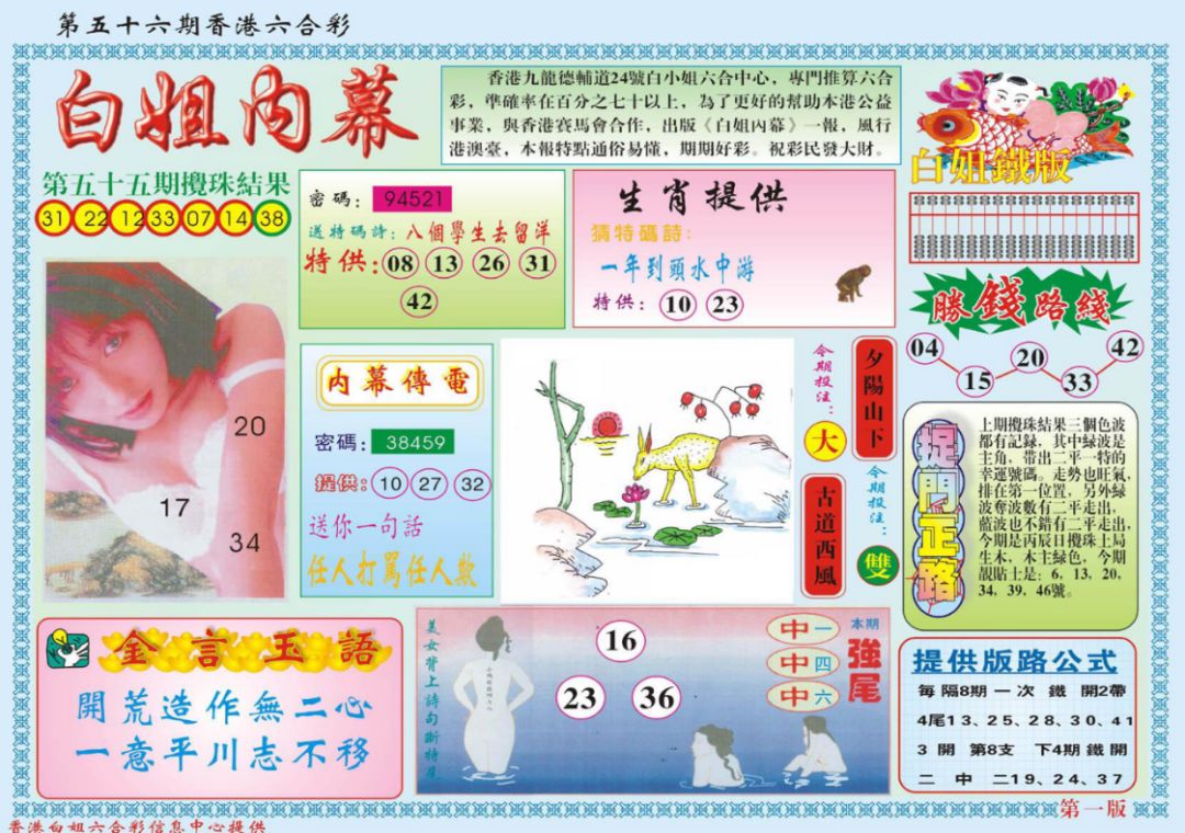 本期香港码开奖结果，深入数据应用计划_1080p19.33.38