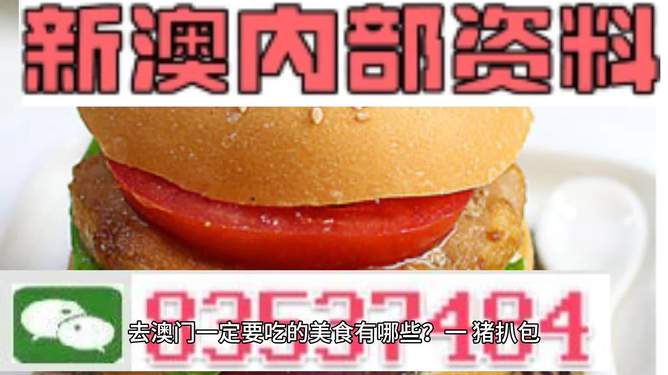 新澳门精准资料大全管家婆料,权威数据解释定义_C版55.48.54