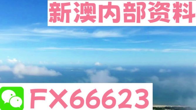 新澳2024正版资料免费公开,全面理解计划_X49.82.33