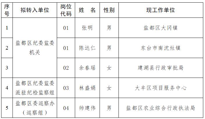 盐城干部任职公示最新动态，多维度视角下的深度解析