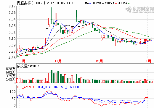 梅雁吉祥股票最新动态及解读指南