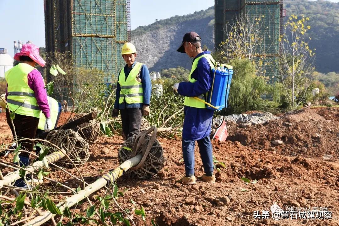 黄石磁湖南岸最新动态，湖畔温馨日常揭秘