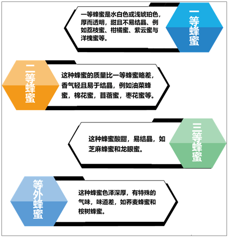 2024全年资料免费大全功能,风险落实评估解答_环境版5.415