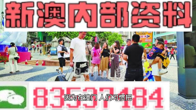 新澳门资料大全正版资料2024年免费下载,过程研究解答解释现象_校园款9.362