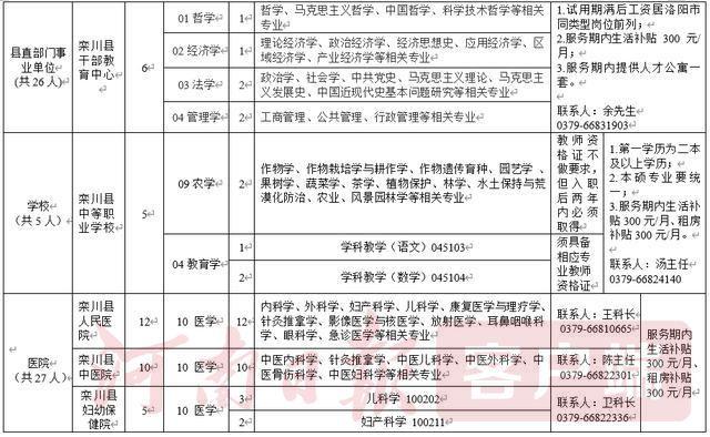 栾川在线最新招聘信息揭秘，职位信息一网打尽！