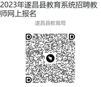 遂昌县最新招聘信息详解，观点论述与岗位概览