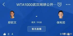 2024新澳门天天开奖攻略_郑钦文vs保利尼 冲击武网4强,全面设计实施策略_Linux20.99.46