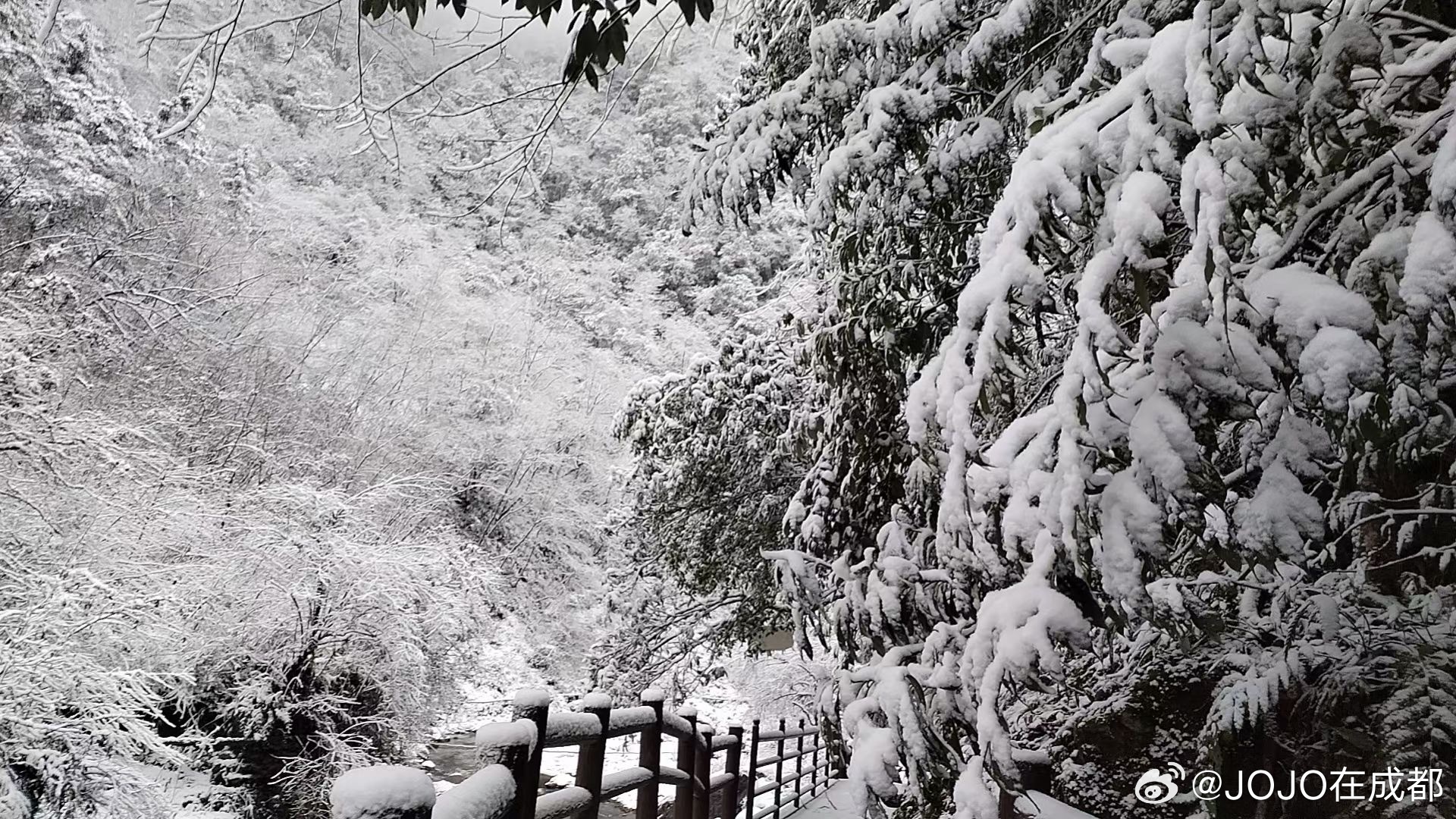 新澳2024年精准一肖一码_成都迎来今年第一场秋雪,高效执行计划设计_Elite11.54.97