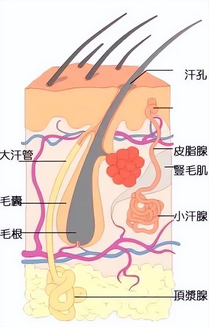 济南部分城区空气异味探寻与解析，原因及解决方案探究