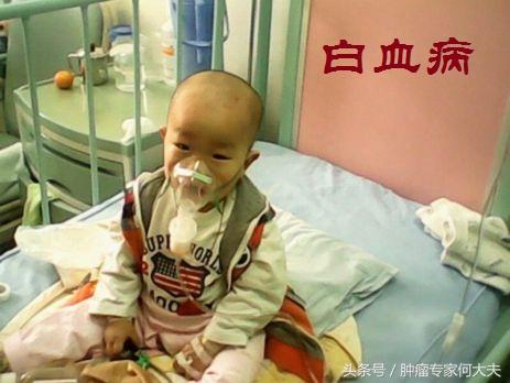 湖南鱼塘鱼儿遭毒死事件，生态悲剧呼唤公正与良知关注