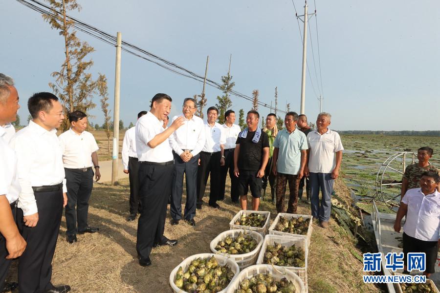 习近平在安徽考察调研,习近平在安徽考察调研，深化发展之思考