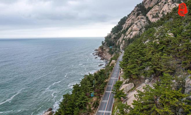 山海协作，山与海的双向奔赴之旅