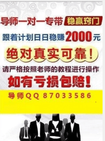 2024澳门天天彩_女子莫名成3.96亿贷款保证人,精确数据解析说明_SHD84.54.97