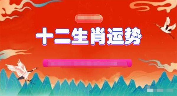 2024年一肖一码一中一特,精细化策略探讨_激励版53.584