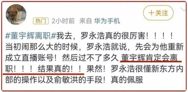 董宇辉离开后新东方首份季报，小巷特色小店探秘与业绩分析