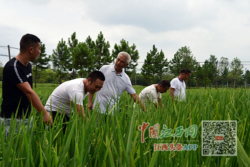 种好改革开放试验田，变化的力量与自信的种子在行动