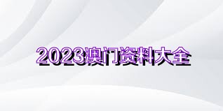 2023年正版澳门全年免费资料，效率资料解释定义_vShop96.34.12