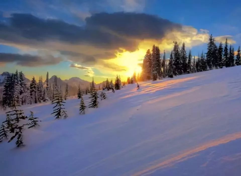 奈雪关闭89家直营店背后的探索，自然美景之旅的新篇章